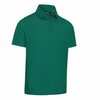 Callaway TM Heren Golfpolo Galapagos Green