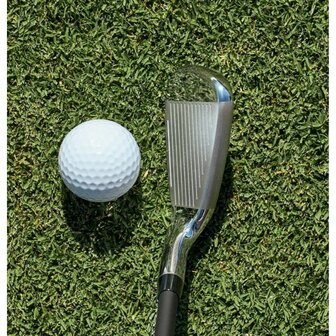 Cobra Baffler 6-SW Heren Lite Flex