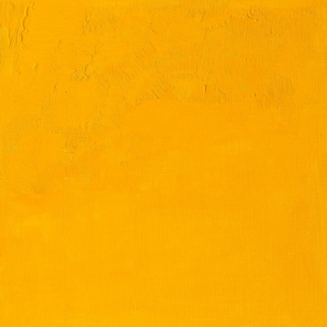 Winsor & Newton Olieverf Permanent Rose 37ML - 116