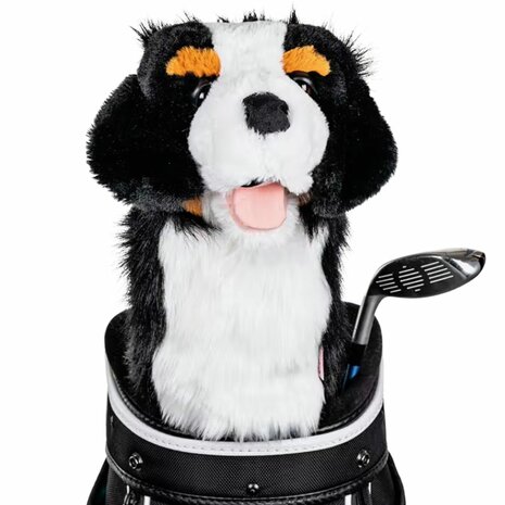 Daphne Headcover Driver Burnese MTN Dog