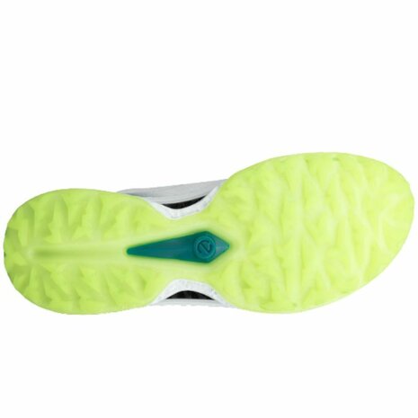 Ecco M Golf Biom C5 BOA Wit Bay Groen Heren Golfschoenen