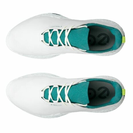 Ecco M Biom H5 Heren Golfschoenen Beige Groen