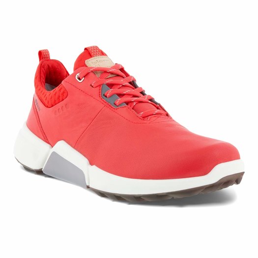 ecco m biom h4