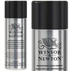 Winsor&Newton Professional Gloss Vernis