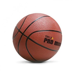 SKLZ Pro Mini Hoop Ball XL