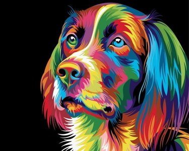 Paint by numbers Dog