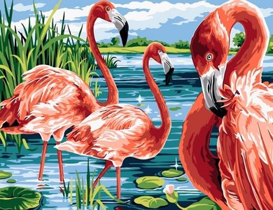 Schilderen op nummer Flamingos