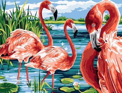 Peinture par numéros de Set Flamingos