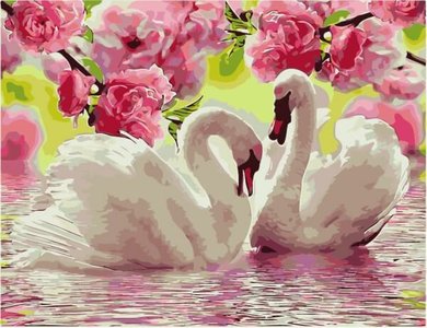 Painting by numbers Swans-Flowers 
