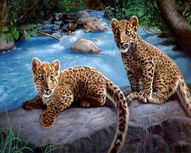 Paint by Numbers from Set Leopard Cubs