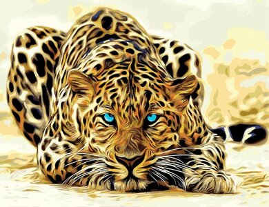 Paint by Numbers Leopard MS7509
