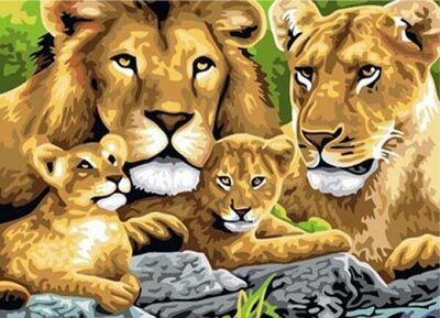 Painting by numbers Lions