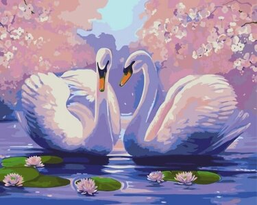 Painting by numbers by Set Swans