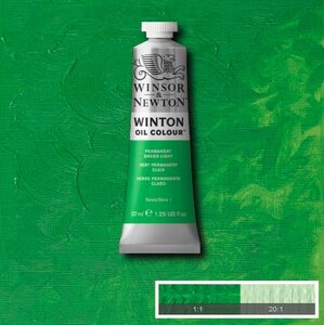 Winton Olieverf 37ML 483 Permanent Green Light 48