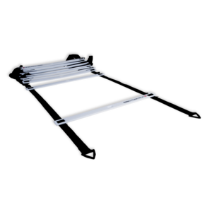 Pure2Improve Behendigheids Ladder