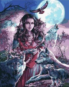 Schilderen op nummer - Set Lady Wolves