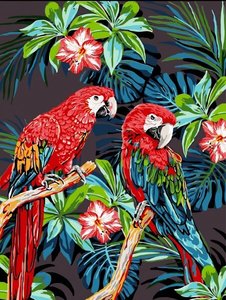 Schilderen op nummer van Set Parrots
