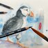 Derwent 12 Watercolour potloden