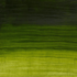Winsor & Newton Olieverf Permanent Sap Green 37ML
